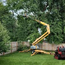 How Our Tree Care Process Works  in  Gordo, AL